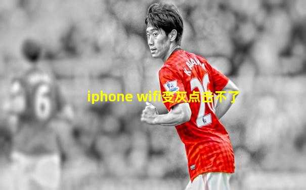 iphone wifi变灰点击不了